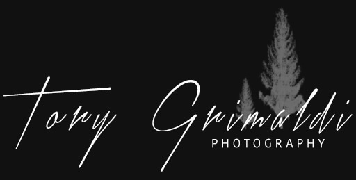 Tory Grimaldi Logo