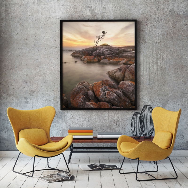 lone tree growing from rocks with sunset on the water
