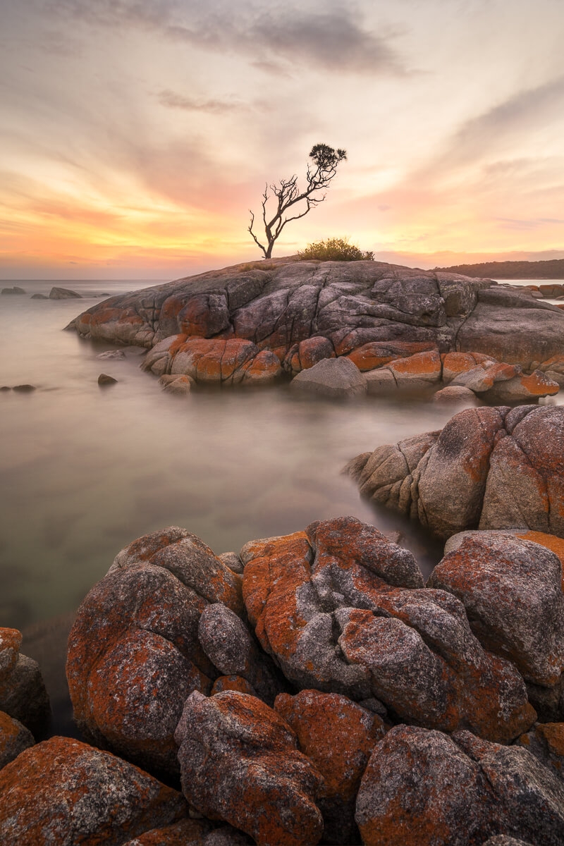 Bay of Fires located on Tasmania's north east coast and is unique for its orange hued granite boulders.