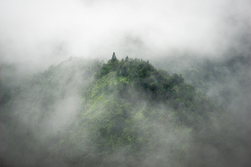 mystical, atmospheric mountain scenery Vietnam mountains.