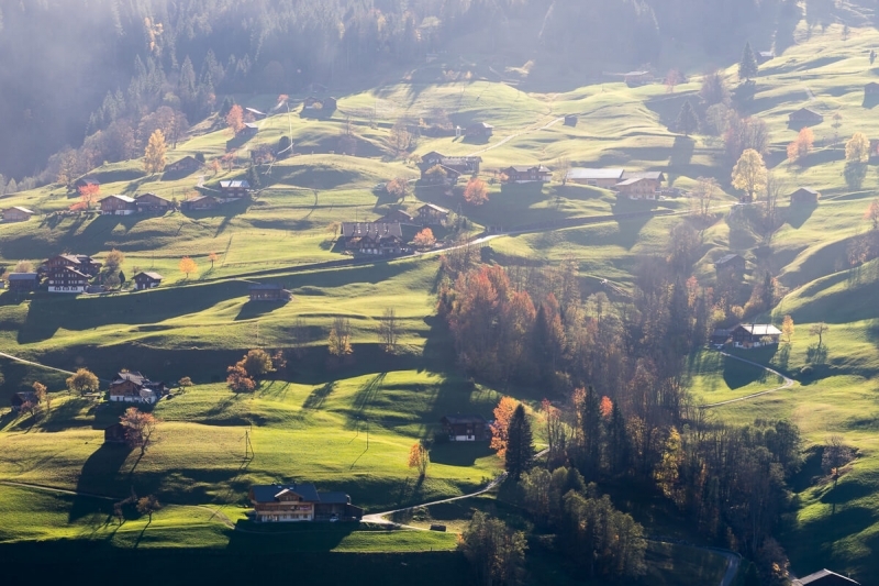 Rolling hills of Grindelwald, Switzerland in autumn light