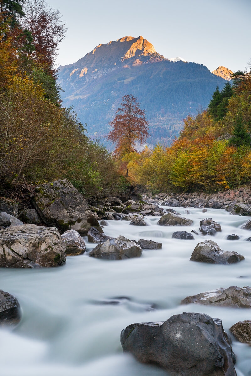Autumn coloured trees along river with mountain in the distance.