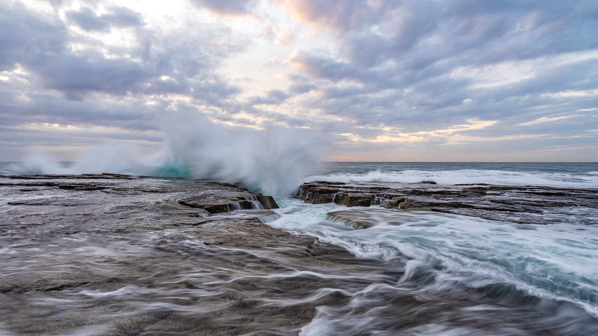 Sydney meet with Tory Grimaldi