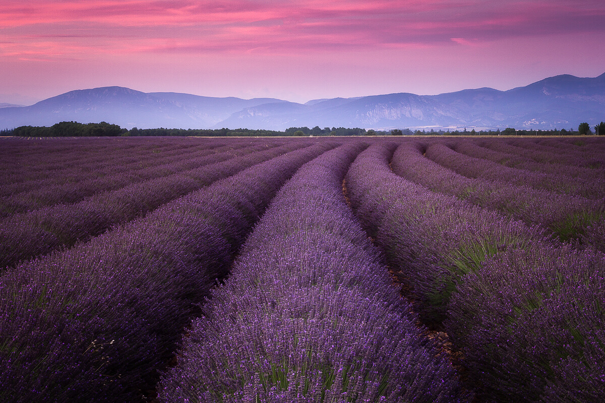 European treasures photography workshop with Tory Grimaldi